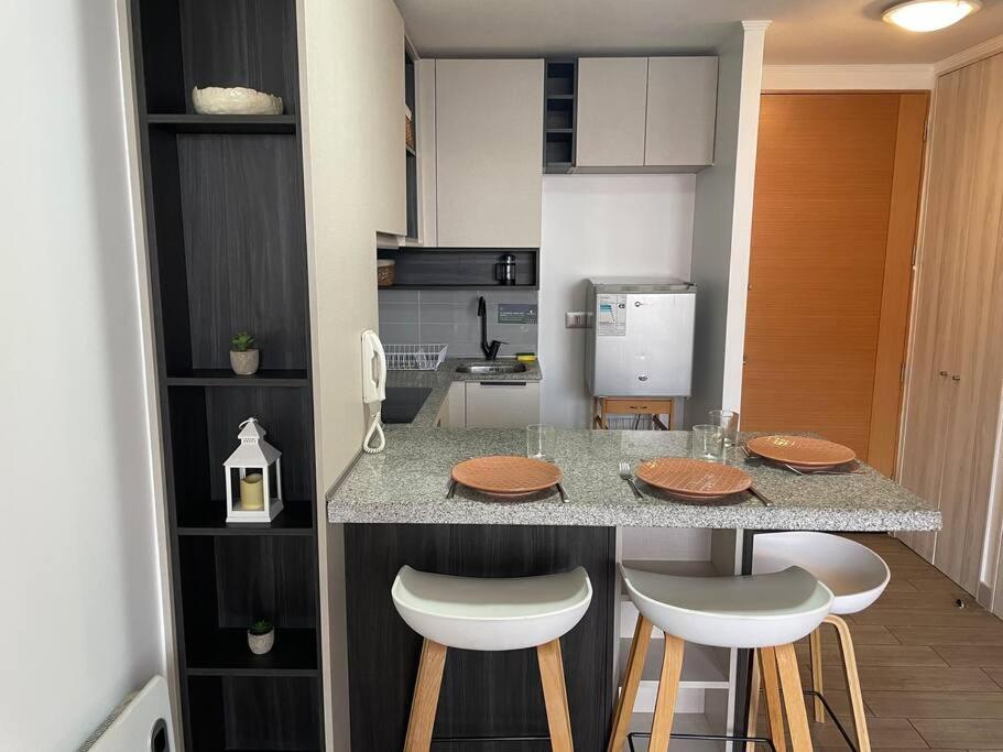 Departamento Renovado Cercano A Parque O'higgins Apartamento Santiago de Chile